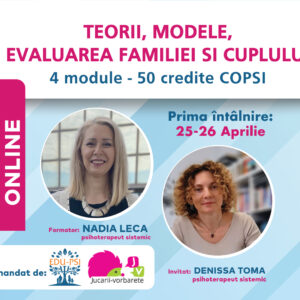 Psihoterapie sistemică: de la Evaluare la Intervenția Terapeutică