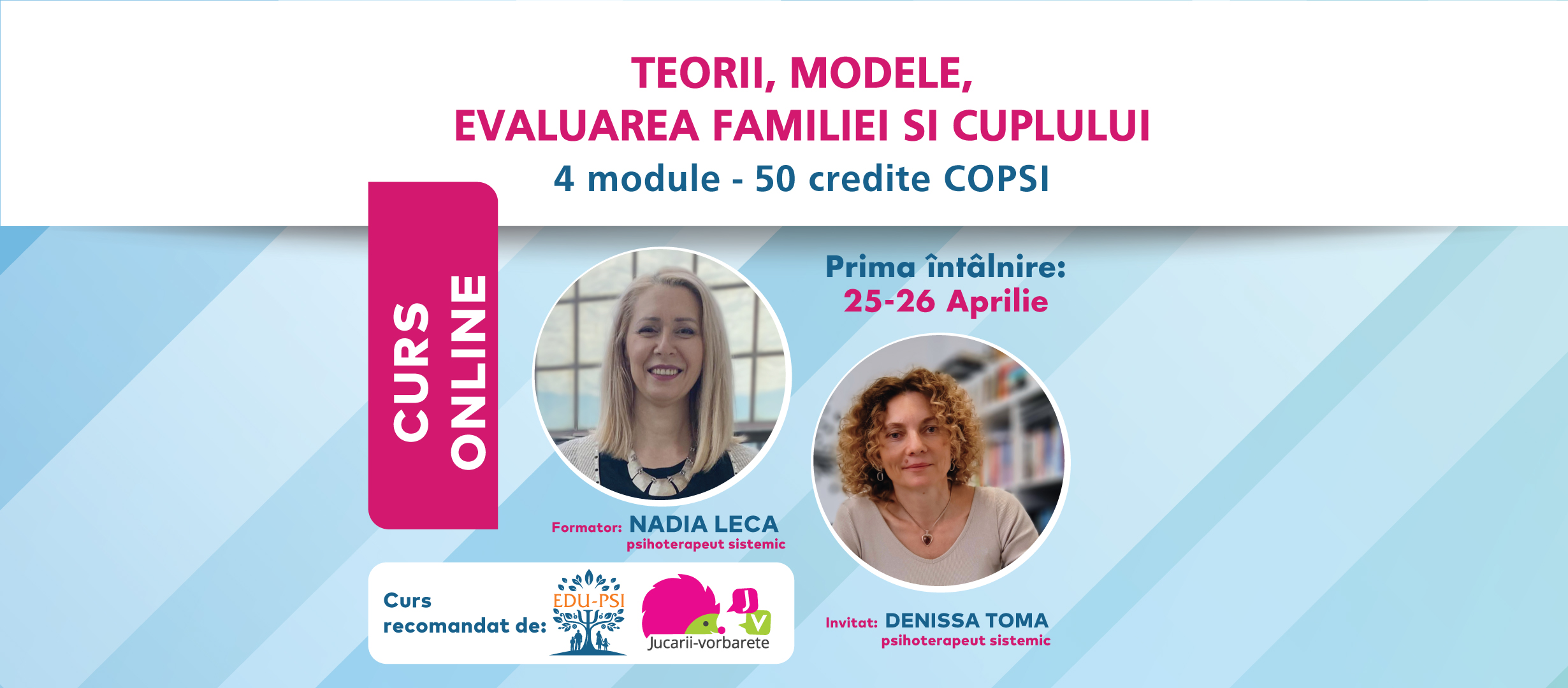 Psihoterapie sistemică: de la Evaluare la Intervenția Terapeutică